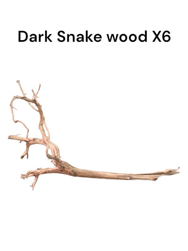 Dark Snake Wood X6